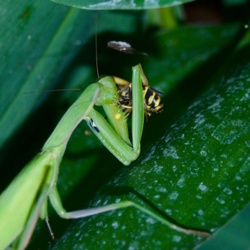 b0926609-e3d1-4496-a445-ef43ab982b23