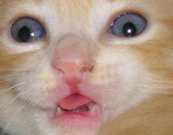 f8367de6-1b3f-41d3-93a2-ae4ec94eac36