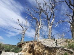 56190b26-38a6-4171-97ca-846ef8338daa