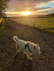 acce3675-4da9-4a6b-9118-107e0b0c88cb