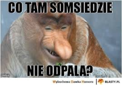 07d646fc-ec6f-4d9d-a01c-c5bcc7385ec4