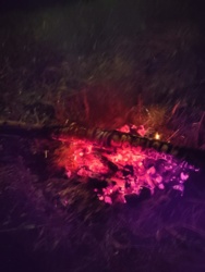 1f09c1de-06e6-4249-b309-70772c51899e