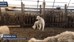 3c5c18ce-fc43-4dac-8a1d-b74d55ad510a