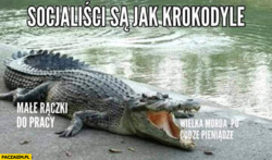 8f53543b-e69f-4390-90a9-d8fdadf8d44d