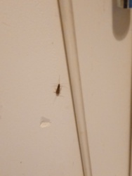 7cf0173e-93ce-4912-b616-f97ebf514217