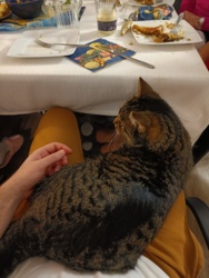 a0d3e295-8b03-412a-97f4-9a6d106215ee