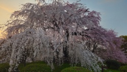 d590a7d6-f86f-4e37-ab6c-d486ed028558