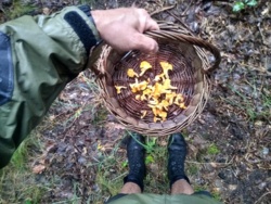 4fff860b-caa7-4a7f-94e2-dc0ca24b42ba