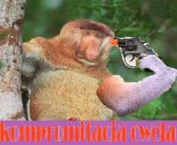 5d708ba7-bc48-42ba-99fc-7f78ce2a6975