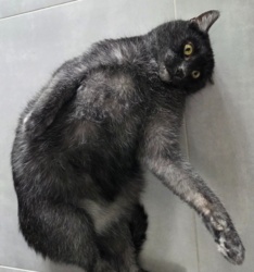 f6b1bff3-47d0-4915-9e12-253ca66a206c