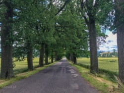 ca18b6d4-d5a1-4408-a5a2-04287cf605a3