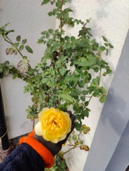 24e356ee-4359-4cf2-81d8-9eea48ed07ff