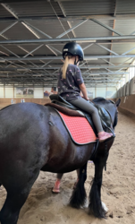 ea0e47e2-28e7-45db-848f-3fb18bbc09bb