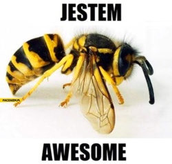 7e4f90f5-925a-4df7-b6ff-499cc5ee3785