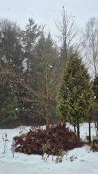 10110984-6e0e-4e40-8f2a-2772161c71a3