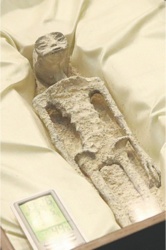 e98f86ba-7d55-4831-9129-0dd7b08dc3d0