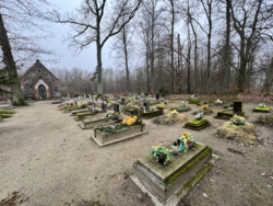 d87a1599-3ab8-4800-ad09-c6e95ec88b5c