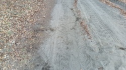 1aa5cb4b-1f52-4620-8e35-f76a1167e176