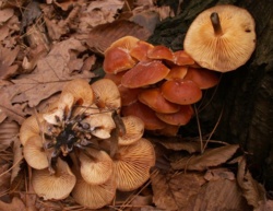 09e586a3-02c2-4da6-a450-470fd42b55b4