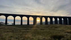 df93ca49-48dc-4977-8fe4-f3d9d554508f