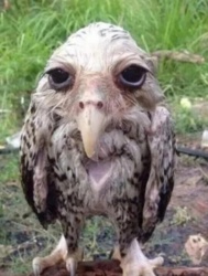 d2891a70-f76a-4267-b2bc-b6d8f471fa09