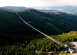 d83e4653-0896-42d6-89b1-c4d301ceb58f