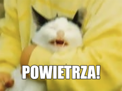 bb4c55dc-b3e7-4303-8fb9-de5be7271802