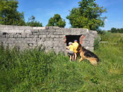 8884fb00-ea4a-4df1-9c08-96a752abaa68