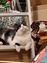 5f96859b-069f-48b8-9195-4353cb624a7c