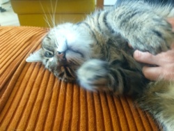 3e9c5eca-a00c-4786-9550-368e627dd14d