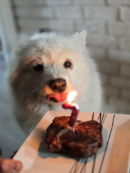 c6d6ae36-141d-4e28-b4f2-9f6c1d5679f7