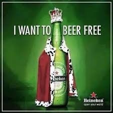 55ab5d70-6993-4ef2-84c8-9c9000525194