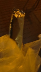 6317f7e2-20b8-40bd-af0d-ba5241bd7341