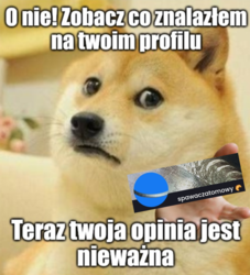 97358d1d-63a0-4cb8-ad77-d28f0df49153