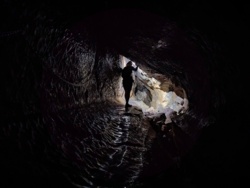 0aca35dc-b9ae-42cb-b5f8-4dfacb4003d9