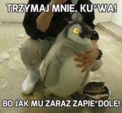 dd128a21-8fdb-4d48-9072-3669e445682b