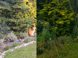 e56faf32-49de-4897-86b4-e218cd08b953