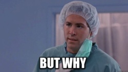 7715b048-bf3e-429c-8fa4-83eb298e5596