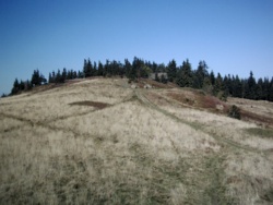 4a8e3c03-b5eb-42e3-9d8b-2254b62f996b