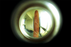 a38da206-3c89-4e67-8113-68f7c1d43e43