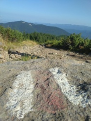 45774409-10a3-4d32-8925-16b5bb29155d