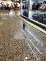 820bd983-53d8-4d38-8720-f243ac0bbe98