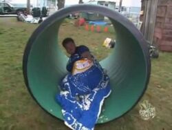 d4368f8c-773e-44c1-b8c5-053596153384