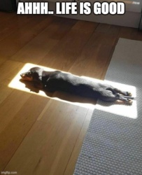 bf4a6e13-e1aa-47ac-a91c-839cfe654710