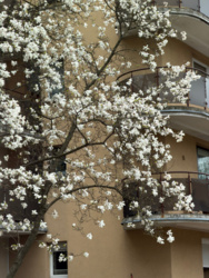 9f7786fb-cf0f-43ee-80bc-0edfc35c4a29