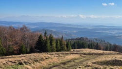 b27f63b8-cfda-4ea2-8335-b34a87857a94