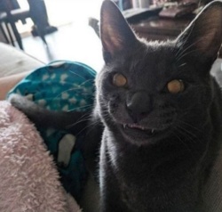 da567a33-5029-41f7-8557-44dc3dbfc657