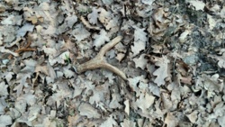 67ac773e-44a2-45d3-bac8-6932779d60fe