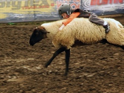 8c5917d1-e2af-4539-bb2a-aa709b21d33c