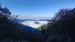 4357d803-5b0c-47ae-885f-38c4eac0e5e0